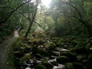 Hiking path near Taipei City