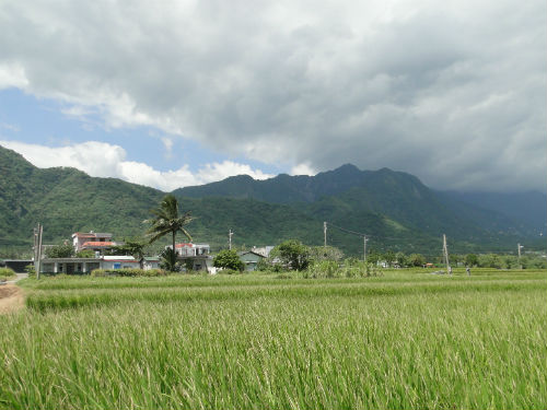 Taiwan East Rift Valley
