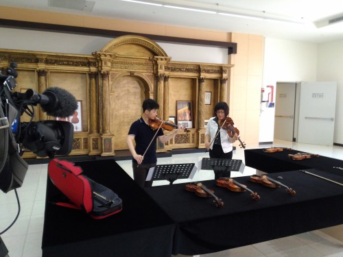 Geigen im Chimei-Museum