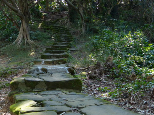Wanderweg in Taiwan mit Stufen