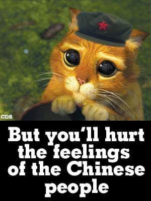 Hurting the feelings of the Chinese people